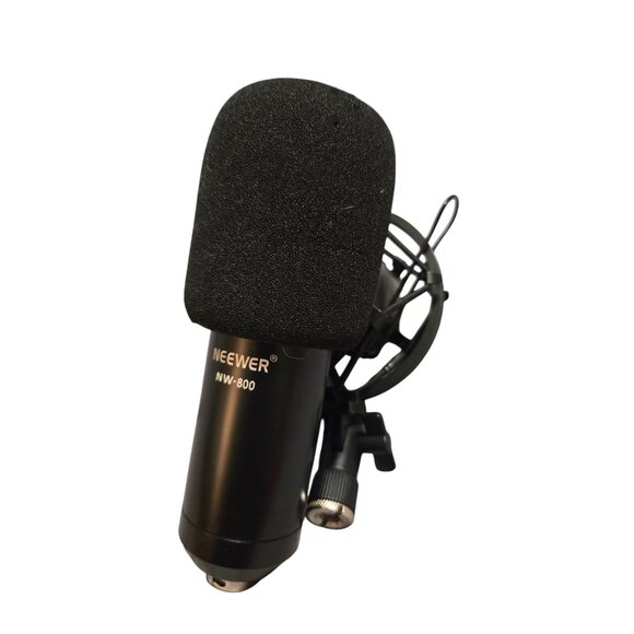 Professional Condenser NW-800 Gold Microphone Shock Mount Pop‎ Filter - Picture 2 of 7